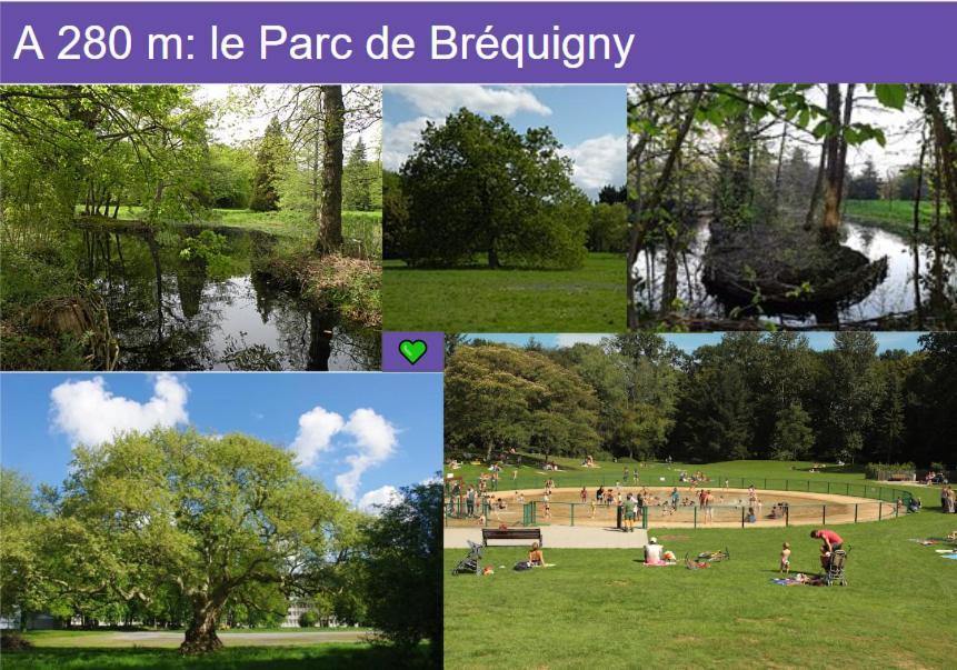 Bulle Zen Rennes Homey Home'S Bagian luar foto